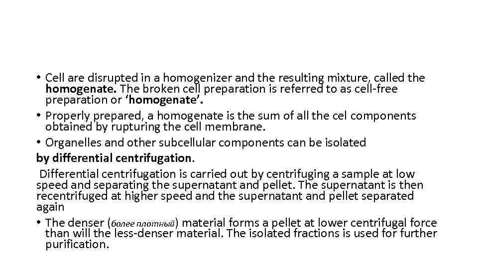  • Cell are disrupted in a homogenizer and the resulting mixture, called the