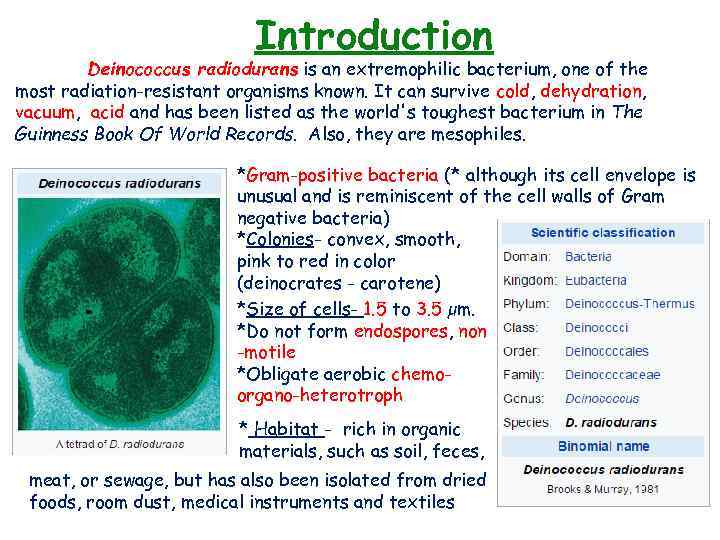 Introduction Deinococcus radiodurans is an extremophilic bacterium, one of the most radiation-resistant organisms known.