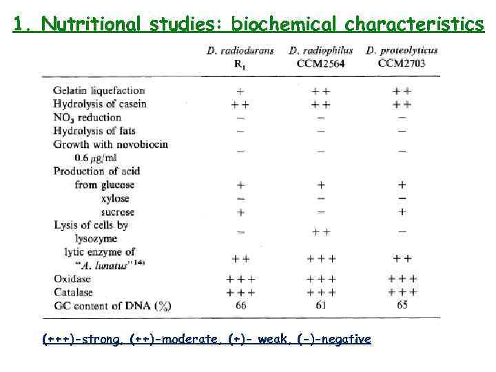 1. Nutritional studies: biochemical characteristics (+++)-strong, (++)-moderate, (+)- weak, (-)-negative 