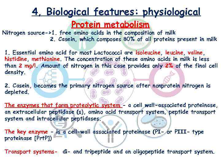 4, Biological features: physiological Protein metabolism Nitrogen source->1. free amino acids in the composition