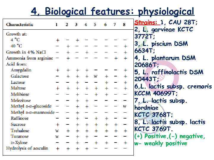 4, Biological features: physiological Strains: 1, CAU 28 T; 2, L. garvieae KCTC 3772