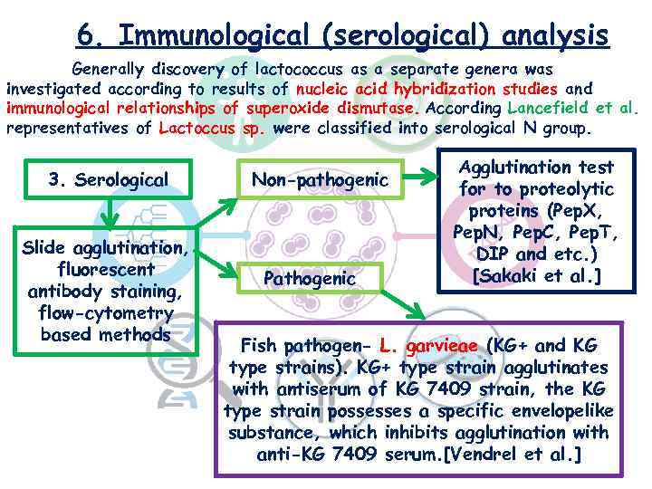 6. Immunological (serological) analysis Generally discovery of lactococcus as a separate genera was investigated