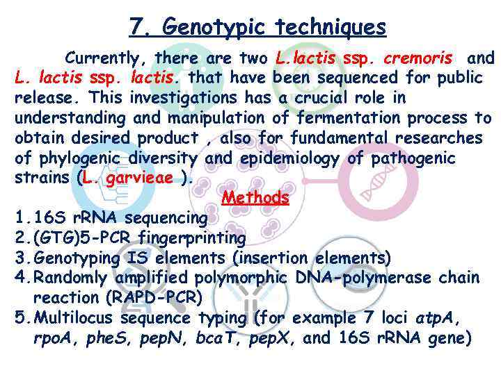 7. Genotypic techniques Currently, there are two L. lactis ssp. cremoris and L. lactis