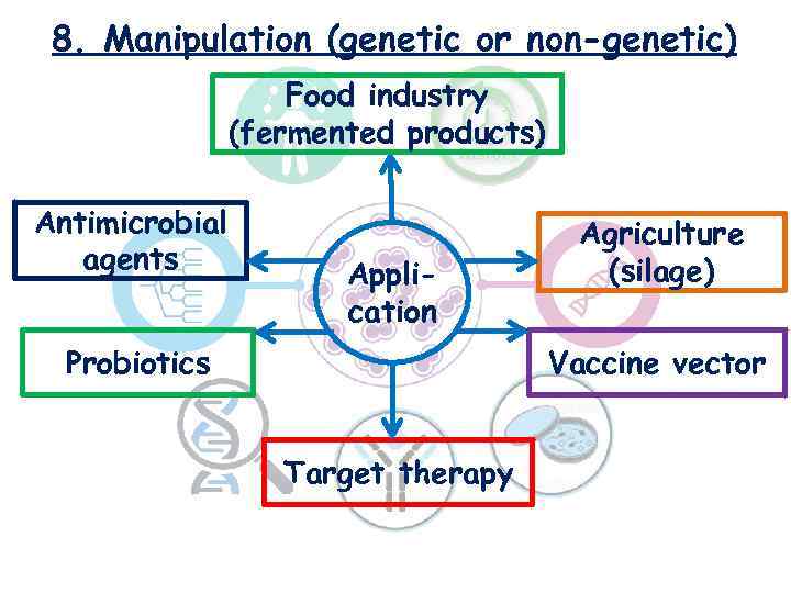 8. Manipulation (genetic or non-genetic) Food industry (fermented products) Antimicrobial agents Application Probiotics Agriculture