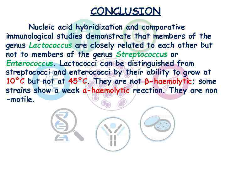 CONCLUSION Nucleic acid hybridization and comparative immunological studies demonstrate that members of the genus