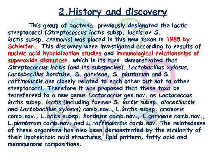 2. History and discovery This group of bacteria, previously designated the lactic streptococci (Streptococcus