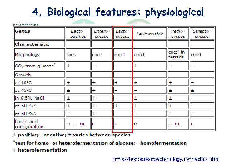 4, Biological features: physiological http: //textbookofbacteriology. net/lactics. html 