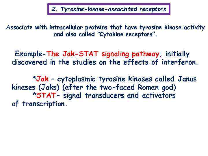 2. Tyrosine-kinase-associated receptors Associate with intracellular proteins that have tyrosine kinase activity and also