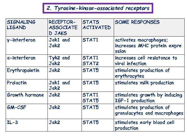 2. Tyrosine-kinase-associated receptors SIGNALING LIGAND RECEPTORASSOCIATE D JAKS Jak 1 and Jak 2 STATS