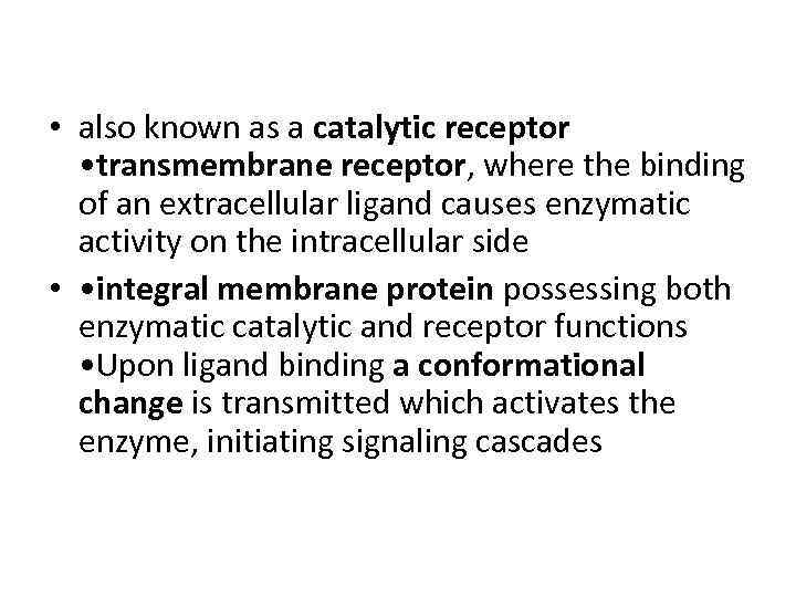  • also known as a catalytic receptor • transmembrane receptor, where the binding