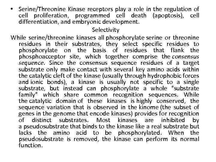  • Serine/Threonine Kinase receptors play a role in the regulation of cell proliferation,