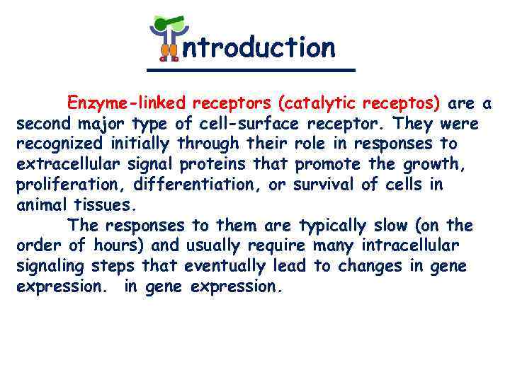 ntroduction Enzyme-linked receptors (catalytic receptos) are a second major type of cell-surface receptor. They