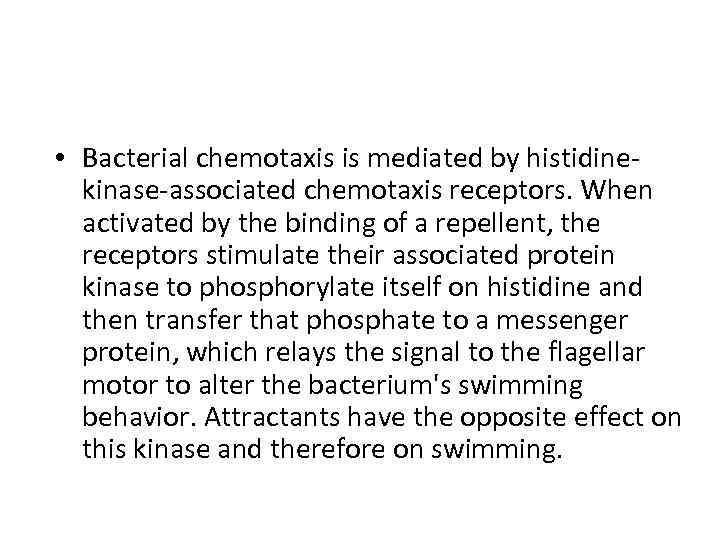  • Bacterial chemotaxis is mediated by histidinekinase-associated chemotaxis receptors. When activated by the