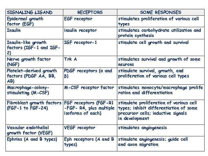 SIGNALING LIGAND Epidermal growth factor (EGF) Insulin RECEPTORS EGF receptor Insulin-like growth factors (IGF-1