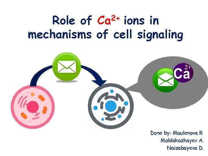 Role of Ca 2+ ions in mechanisms of cell signaling Done by: Maulenova R