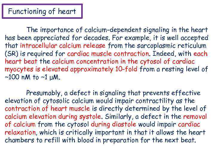 Functioning of heart The importance of calcium-dependent signaling in the heart has been appreciated