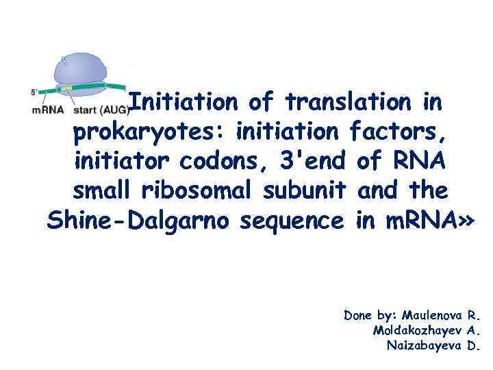 Initiation of translation in prokaryotes: initiation factors, initiator codons, 3'end of RNA small ribosomal