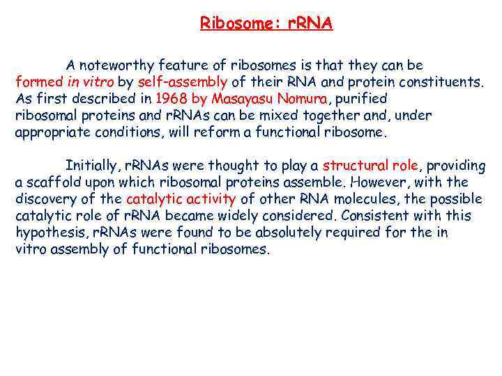 Ribosome: r. RNA A noteworthy feature of ribosomes is that they can be formed