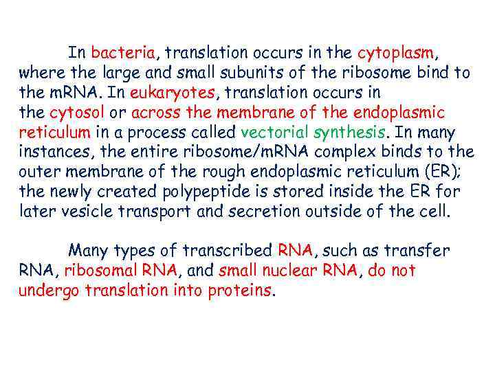 In bacteria, translation occurs in the cytoplasm, where the large and small subunits of