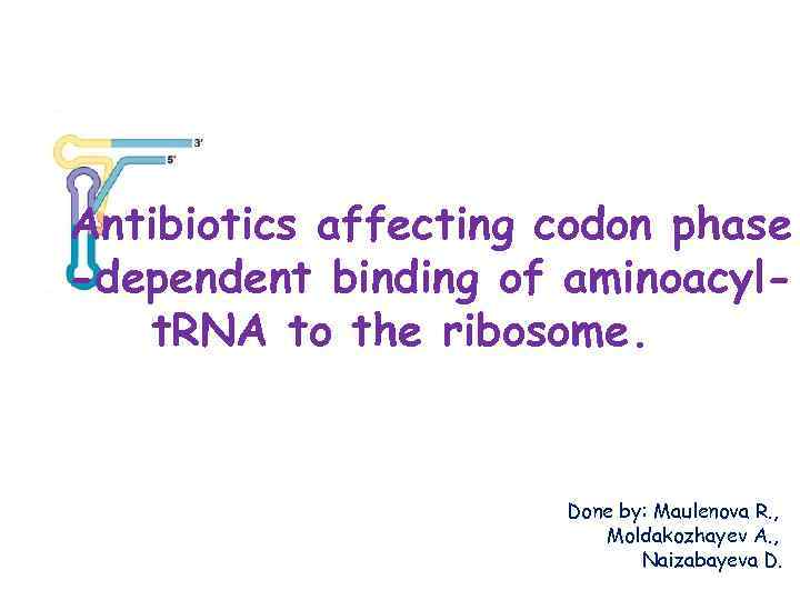 Antibiotics affecting codon phase -dependent binding of aminoacylt. RNA to the ribosome. Done by:
