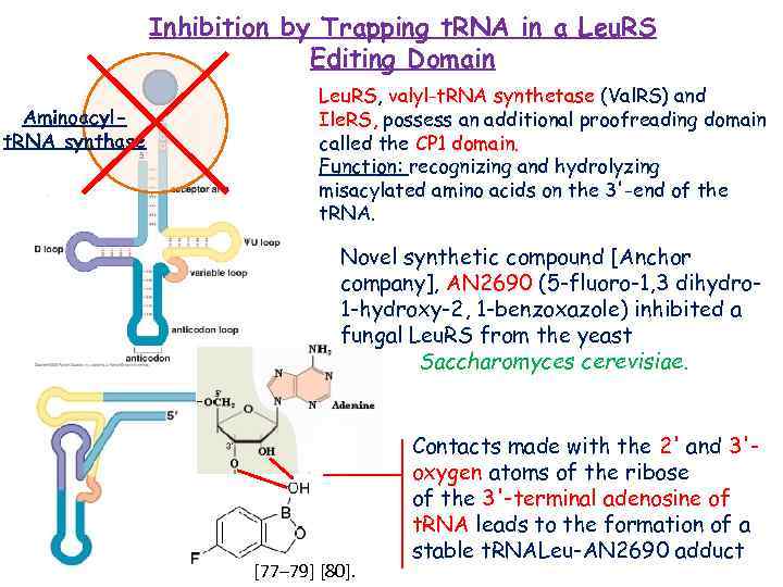 Inhibition by Trapping t. RNA in a Leu. RS Editing Domain Aminoacylt. RNA synthase