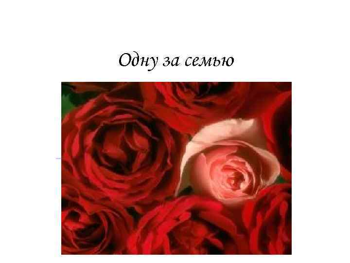 Одну за семью 