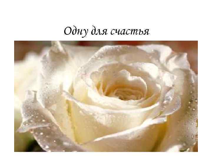 Одну для счастья 