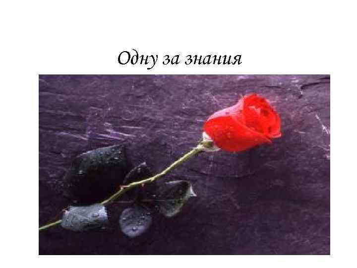 Одну за знания 