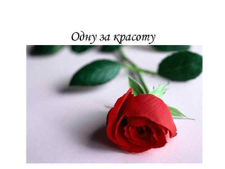 Одну за красоту 