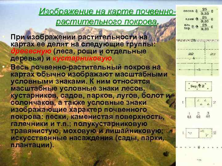 Изображение на карте почвеннорастительного покрова. • При изображении растительности на картах ее делят на