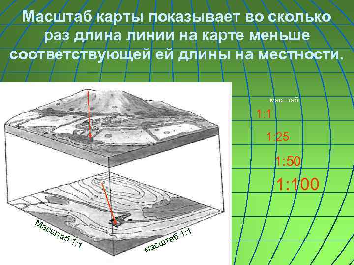 Масштаб карты показывает во сколько раз длина линии на карте меньше соответствующей ей длины