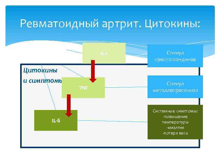 Ревматоидный артрит. Цитокины: IL-1 Цитокины и симптомы IL-6 TNF Стимул простагландинов Стимул металлопротеиназ Системные