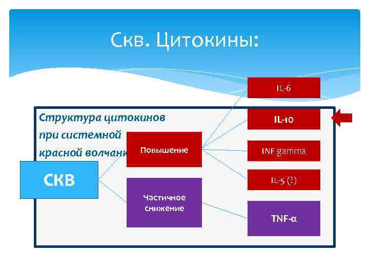 Скв. Цитокины: IL-6 Структура цитокинов при системной красной волчанке Повышение СКВ IL-10 INF gamma