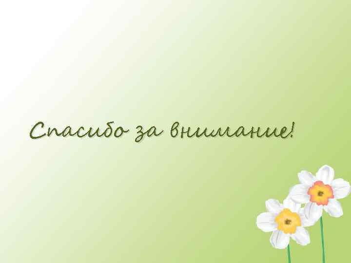 Спасибо за внимание! 
