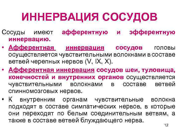 ИННЕРВАЦИЯ СОСУДОВ Сосуды имеют афферентную и эфферентную иннервацию. • Афферентная иннервация сосудов головы осуществляется