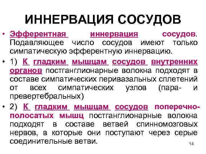 ИННЕРВАЦИЯ СОСУДОВ • Эфферентная иннервация сосудов. Подавляющее число сосудов имеют только симпатическую эфферентную иннервацию.