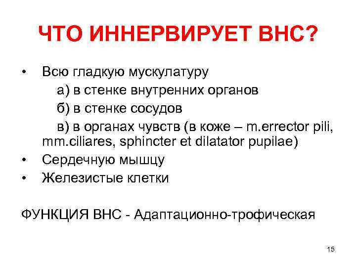 ЧТО ИННЕРВИРУЕТ ВНС? • • • Всю гладкую мускулатуру а) в стенке внутренних органов