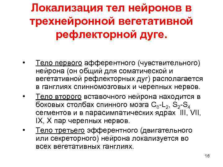 Локализация тел нейронов в трехнейронной вегетативной рефлекторной дуге. • • • Тело первого афферентного