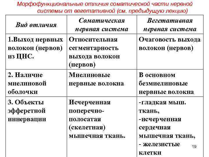 Морфофункциональные отличия соматической части нервной системы от вегетативной (см. предыдущую лекцию) Вид отличия Соматическая