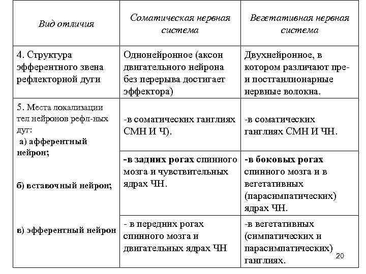 Вид отличия 4. Структура эфферентного звена рефлекторной дуги Соматическая нервная система Однонейронное (аксон двигательного