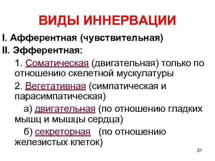 ВИДЫ ИННЕРВАЦИИ I. Афферентная (чувствительная) II. Эфферентная: 1. Соматическая (двигательная) только по отношению скелетной