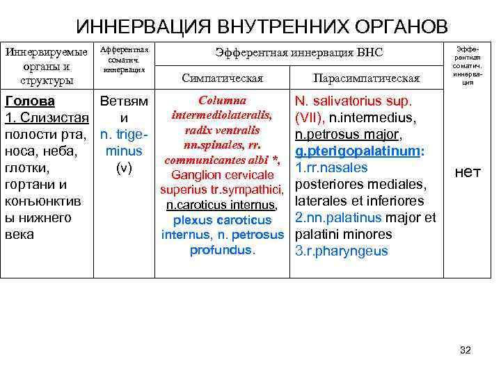 ИННЕРВАЦИЯ ВНУТРЕННИХ ОРГАНОВ Иннервируемые органы и структуры Афферентная соматич. иннервация Эфферентная иннервация ВНС Симпатическая