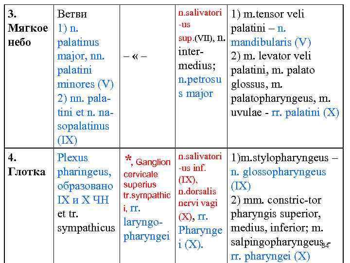 3. Ветви Мягкое 1) n. небо palatinus major, nn. – «– palatini minores (V)