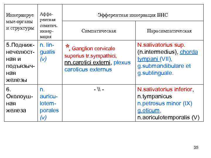 Иннервируе мые органы и структуры Афферентная соматич. иннервация 5. Подниж- n. linнечелюст- gualis ная