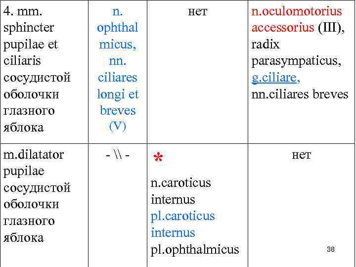 4. mm. sphincter pupilae et ciliaris сосудистой оболочки глазного яблока n. ophthal micus, nn.