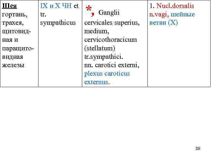Шея IX и X ЧН et гортань, tr. трахея, sympathicus щитовидная и паращитовидная железы