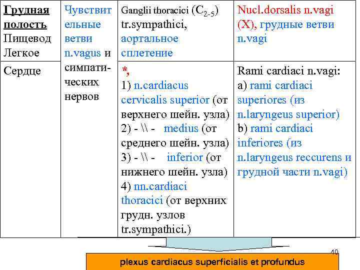 Грудная полость Пищевод Легкое Сердце Чувствит ельные ветви n. vagus и симпатических нервов Ganglii