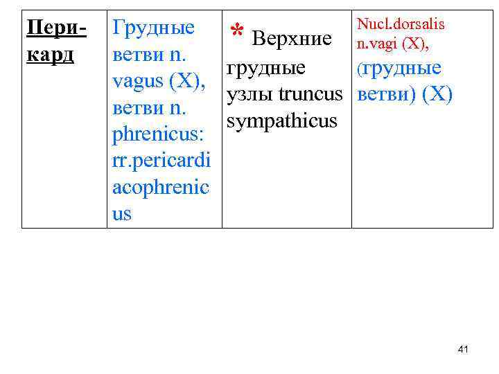 Перикард Грудные * Верхние Nucl. dorsalis n. vagi (X), ветви n. грудные (грудные vagus