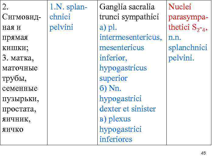 2. 1. N. splan. Сигмовид- chnici ная и pelvini прямая кишки; 3. матка, маточные