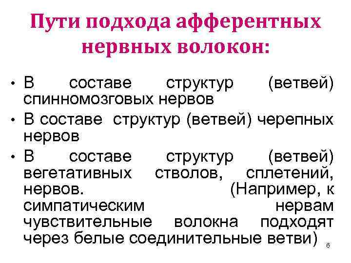 Пути подхода афферентных нервных волокон: • В составе структур (ветвей) спинномозговых нервов • В